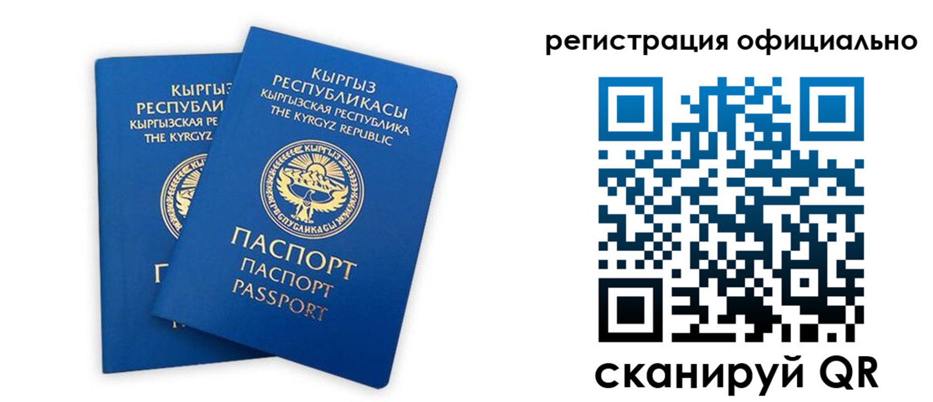 прописка поиск в Тавде